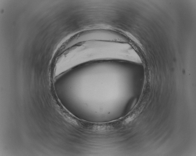 X0000077321364200611101447