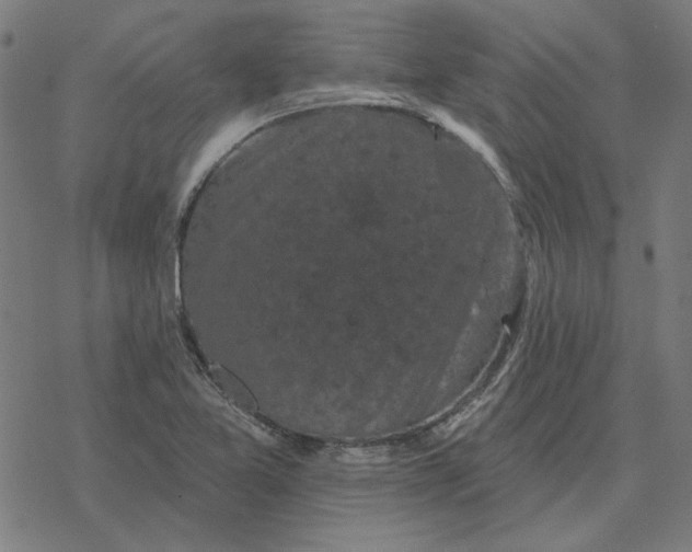 X0000077321365200611101447