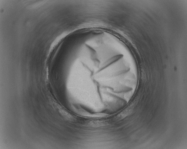 X0000077321366200611101447