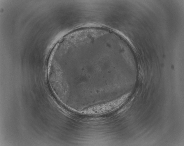 X0000077321367200611101447