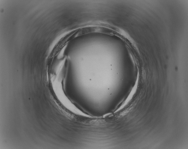 X0000077321368200611101447