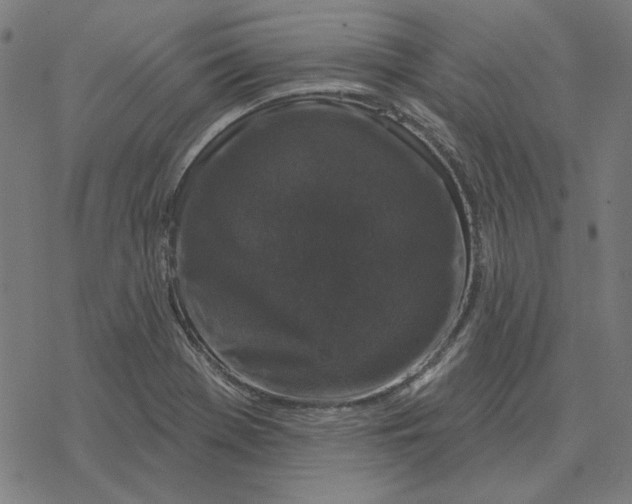 X0000077321369200611101447