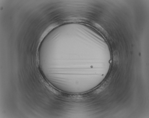 X0000077321370200611101447