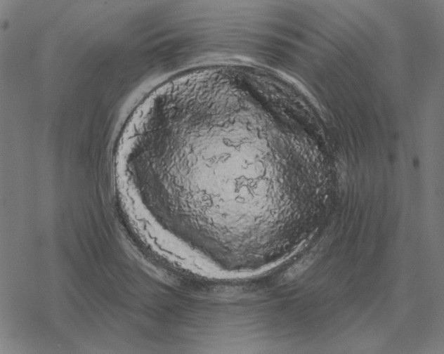 X0000077321371200611101447