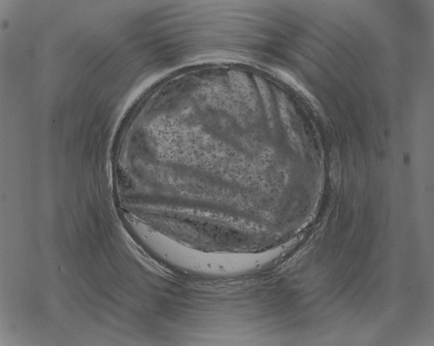 X0000077321372200611101447