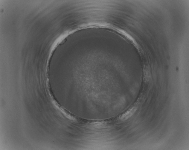 X0000077321373200611101447