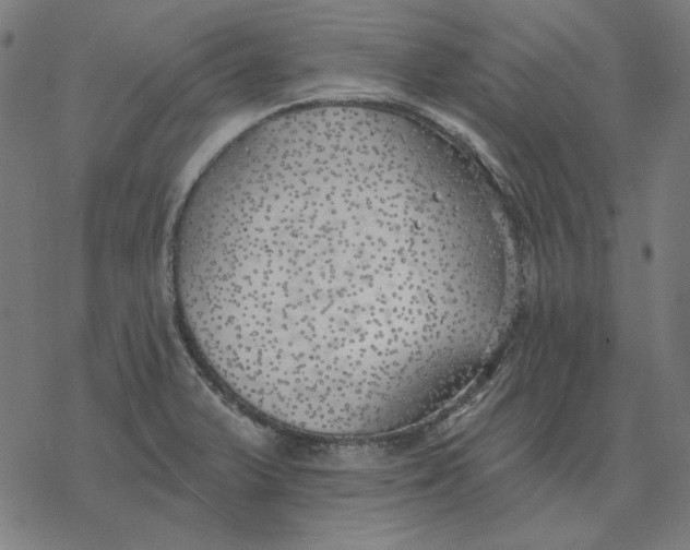 X0000077321375200611101447