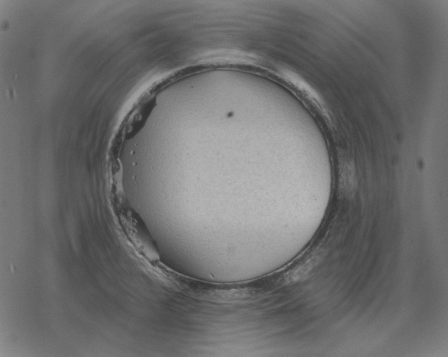 X0000077321376200611101447