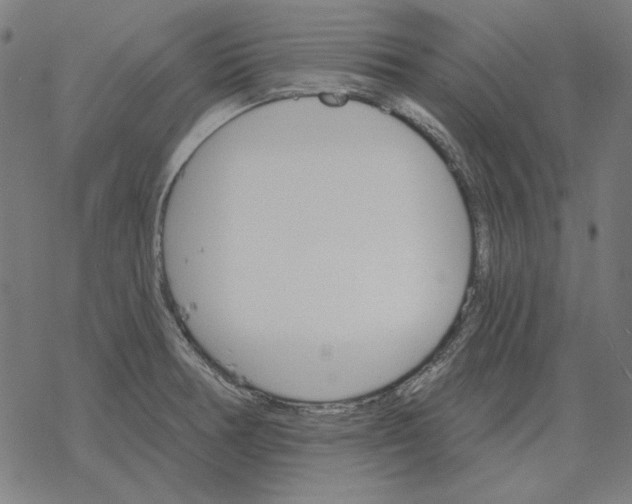 X0000077321378200611101447