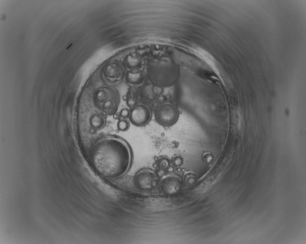 X0000077321379200611101447