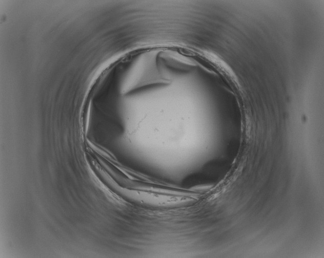 X0000077321380200611101447