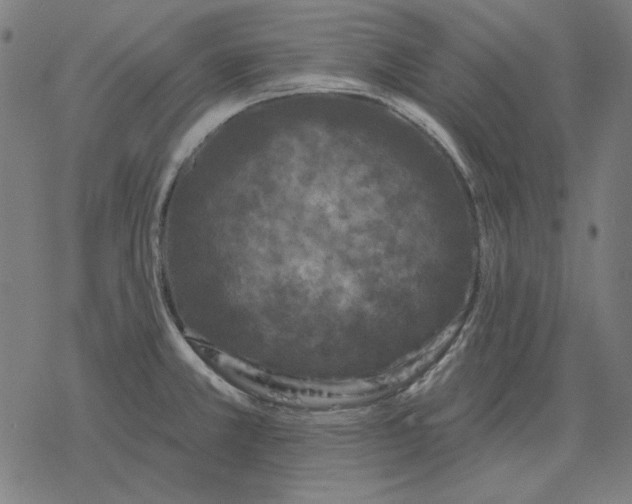 X0000077321381200611101447