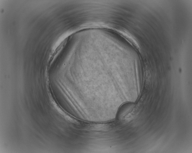 X0000077321382200611101447