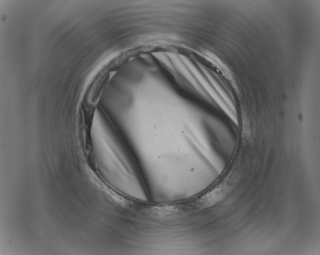 X0000077321384200611101447