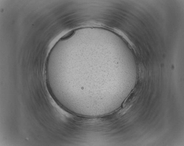 X0000077321387200611101447