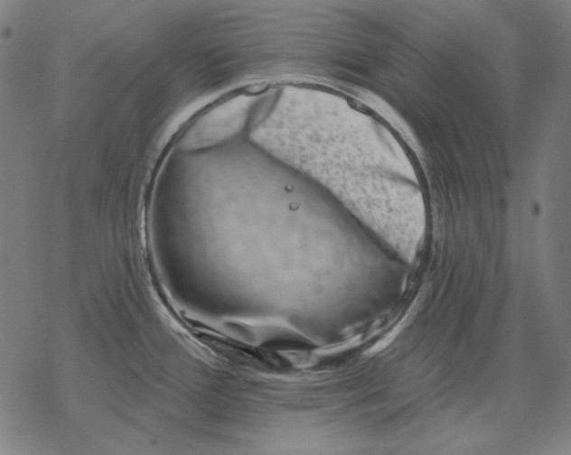 X0000077321388200611101447