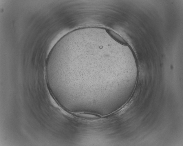 X0000077321390200611101447