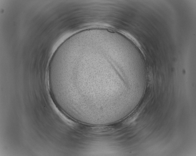 X0000077321391200611101447