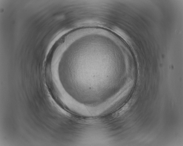 X0000077321392200611101447