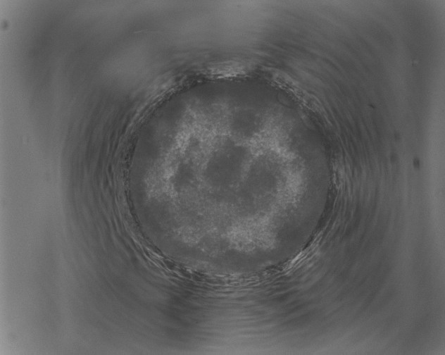 X0000077321393200611101446