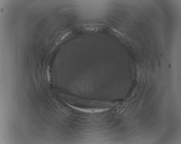 X0000077321394200611101446