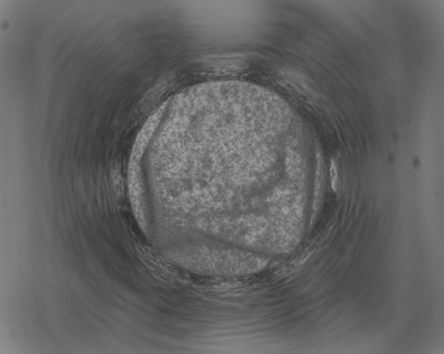 X0000077321395200611101446