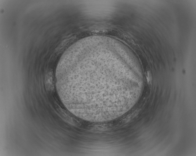 X0000077321396200611101446