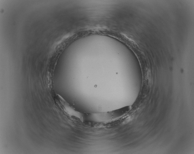 X0000077321398200611101446