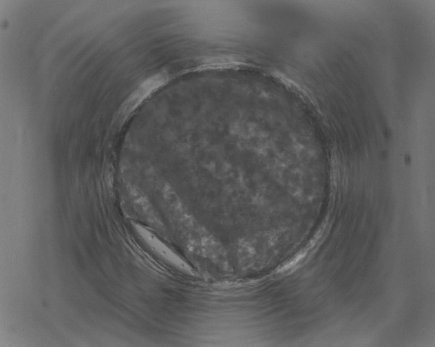 X0000077321401200611101446