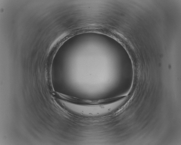 X0000077321402200611101446