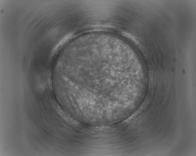 X0000077321403200611101446