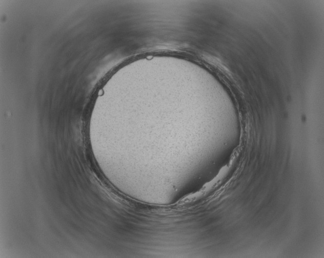 X0000077321404200611101446