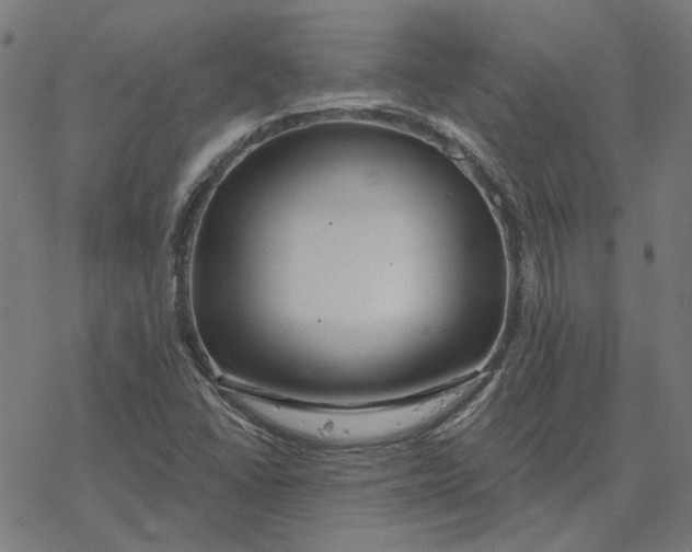 X0000077321406200611101446