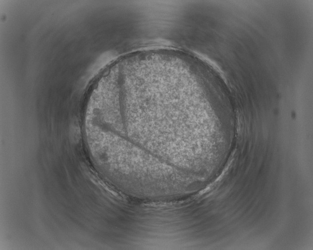 X0000077321407200611101446