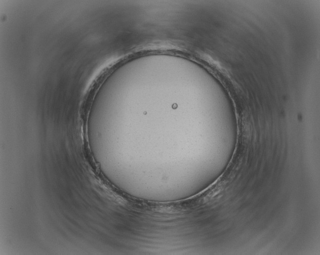 X0000077321408200611101446