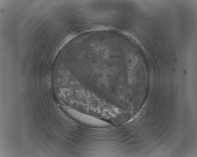 X0000077321409200611101446