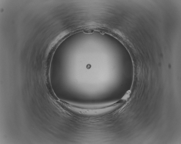 X0000077321410200611101446