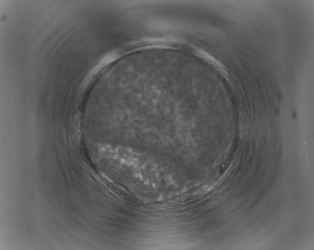 X0000077321411200611101446