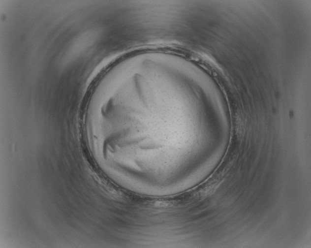 X0000077321412200611101446