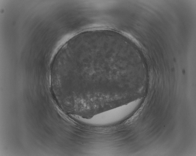 X0000077321413200611101447