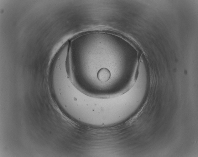 X0000077321414200611101447