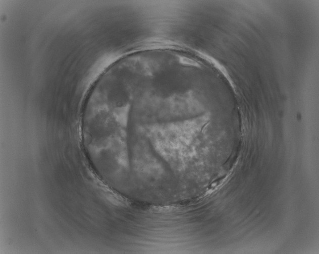 X0000077321415200611101447