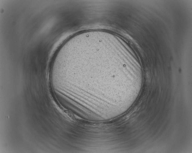 X0000077321416200611101447