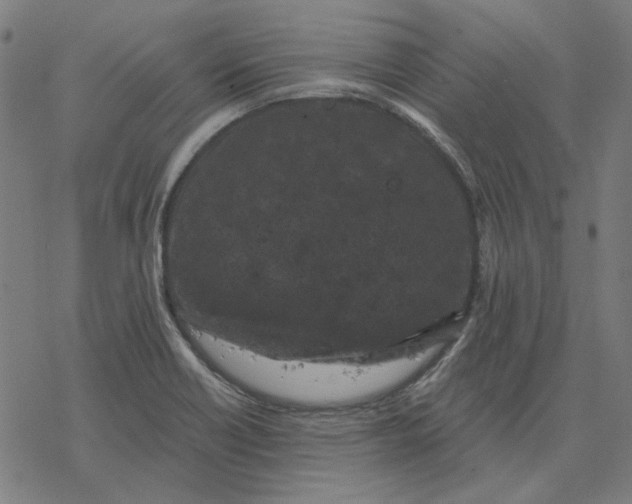 X0000077321418200611101447