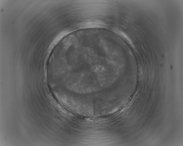 X0000077321419200611101447