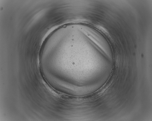 X0000077321420200611101447