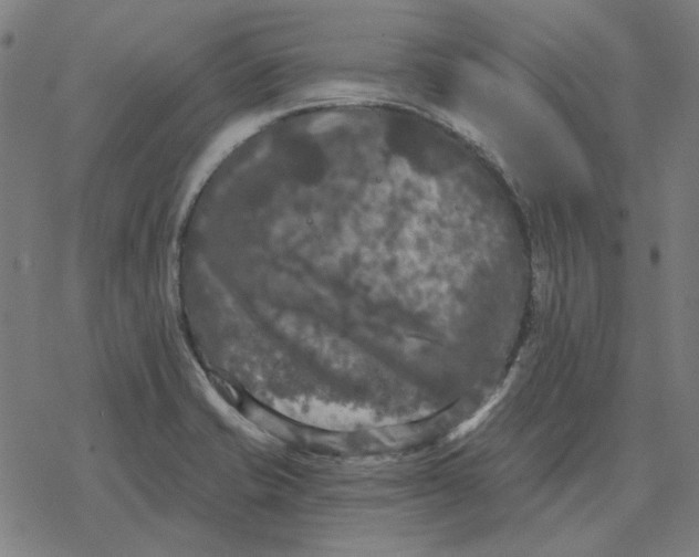 X0000077321421200611101447