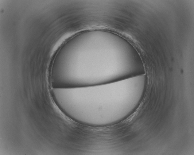 X0000077321422200611101447