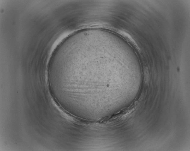 X0000077321424200611101447