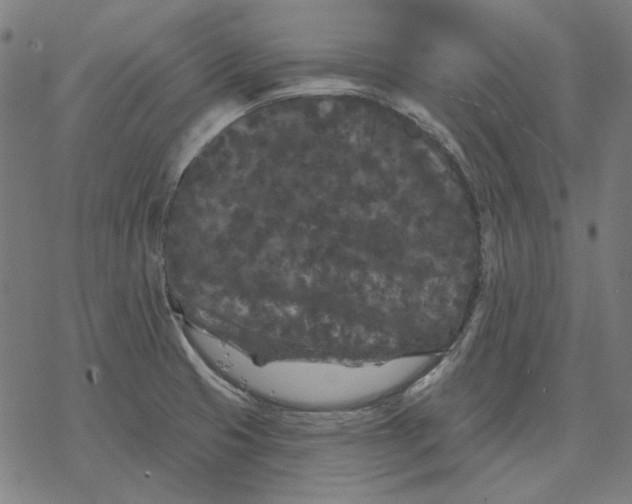 X0000077321425200611101447